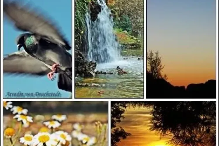 O romanca isi expune fotografiile la Madrid 