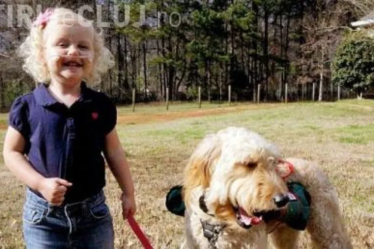 O fetita de 3 ani a fost salvata de la moarte de cainele ei! FOTO