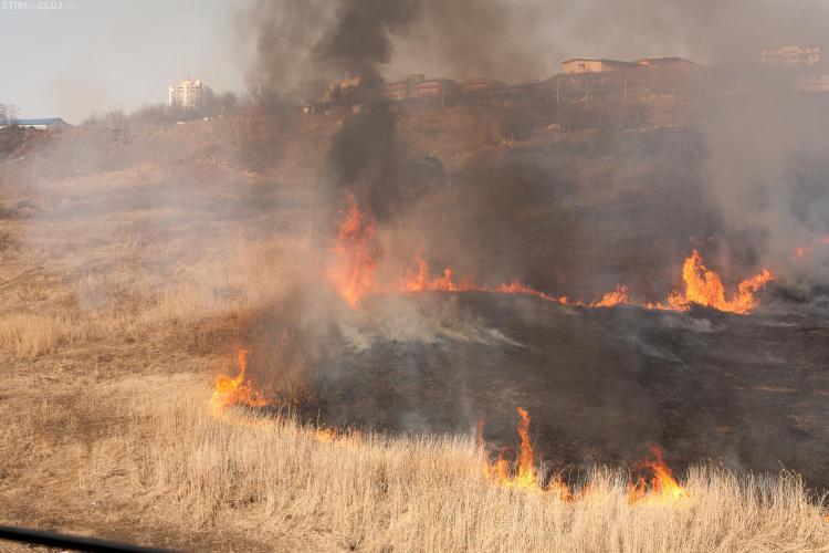 Incendiu pe varianta Zorilor - Manastur! Vezi FOTO cu flacarile care au cuprins dealul 