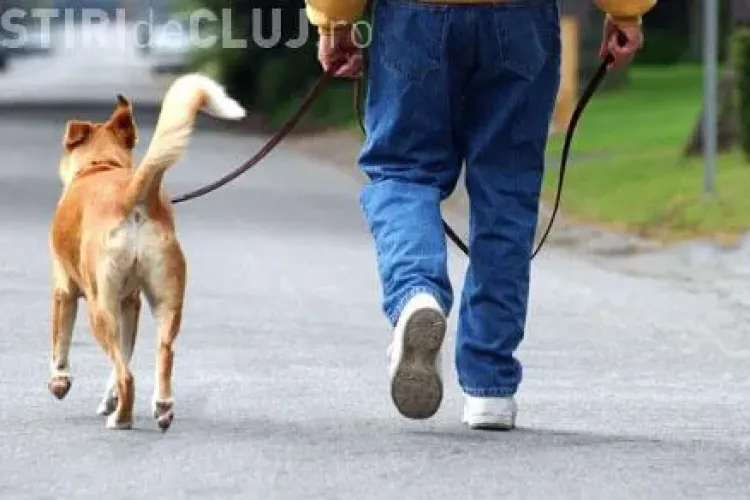 Cluj: Amenda de 2.500 de lei daca nu strangeti dejectiile cainilor! Vezi si alte modificari