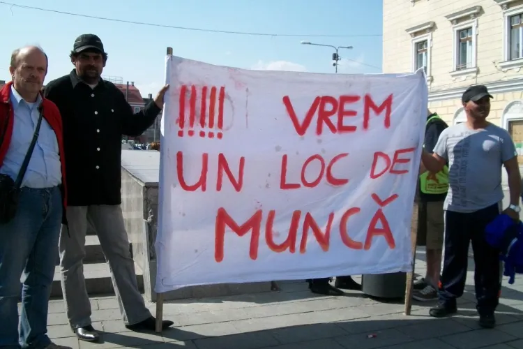 Clujenii, solidari cu cei de la Pata Rat, au scormonit prin gunoaie! Deseurile au fost lasate in fata sediului CJ Cluj FOTO