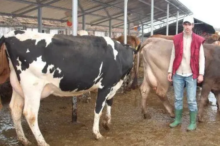 PSD Cluj atentioneaza: E haos in derularea si initierea unor Programe Europene in agricultura