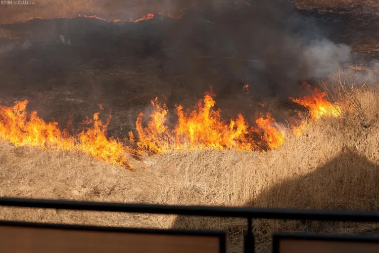 Primaria Cluj-Napoca interzice fumatul la padure si in locurile de picnic
