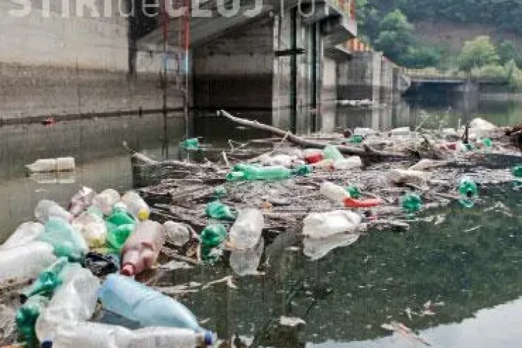 Cursurile de apa din Cluj, igienizate de Ziua Mondiala a Apei