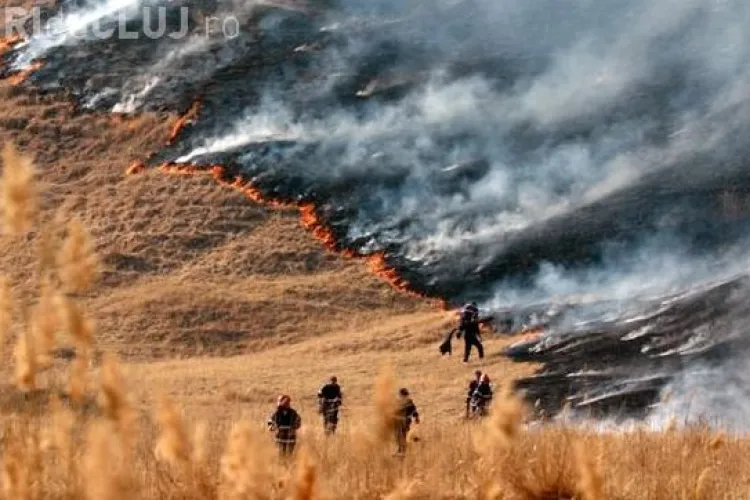 Incendiu de padure in comuna Sic