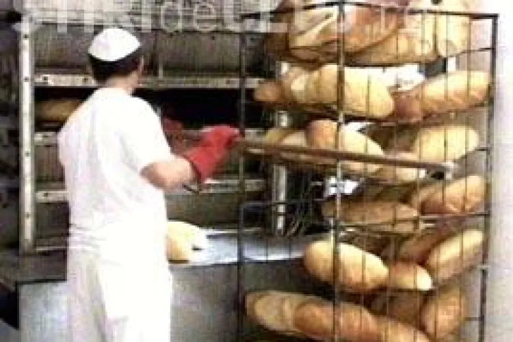 Brutariile din Cluj, amendate de ITM cu 46.500 de lei! Angajatii, exploatati si neplatiti pentru orele de noapte