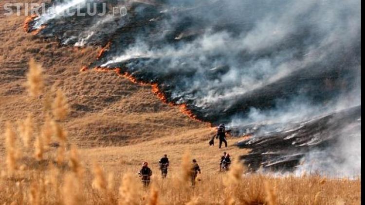 Incendiu De Padure In Comuna Sic Stiri De Cluj