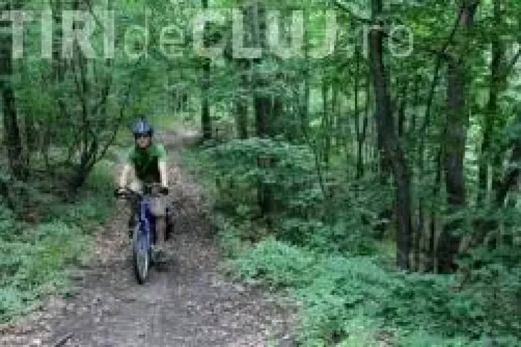 Britanicul ce a ramas impresionat de calatoria prin Carpati FOTO