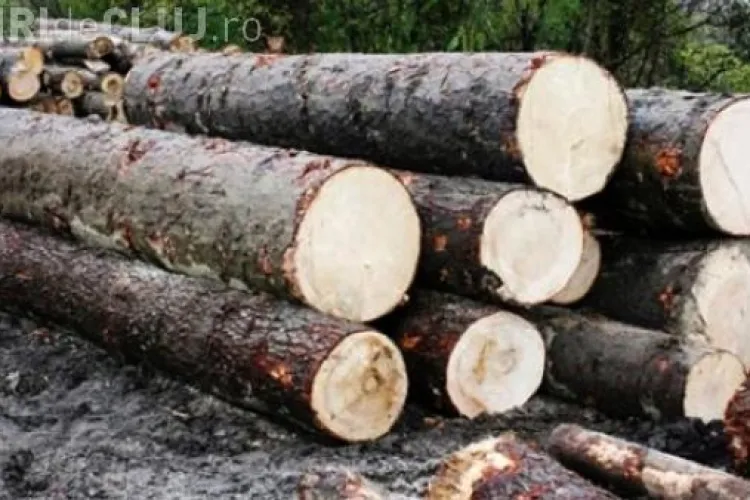 Lemn confiscat pe drumul Huedin - Belis