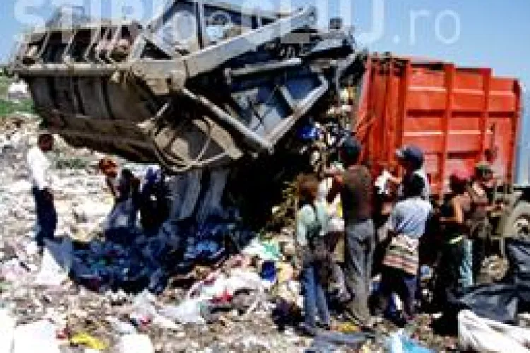 Experiment la Pata Rat! Tiganii care locuiesc pe rampa sunt ca termitele VIDEO 