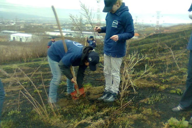 10.000 de arbori plantati in Padurea Tineretului