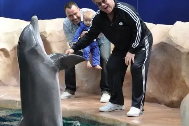 Cantaretul Elton John si partenerul sau isi mai doresc un copil 