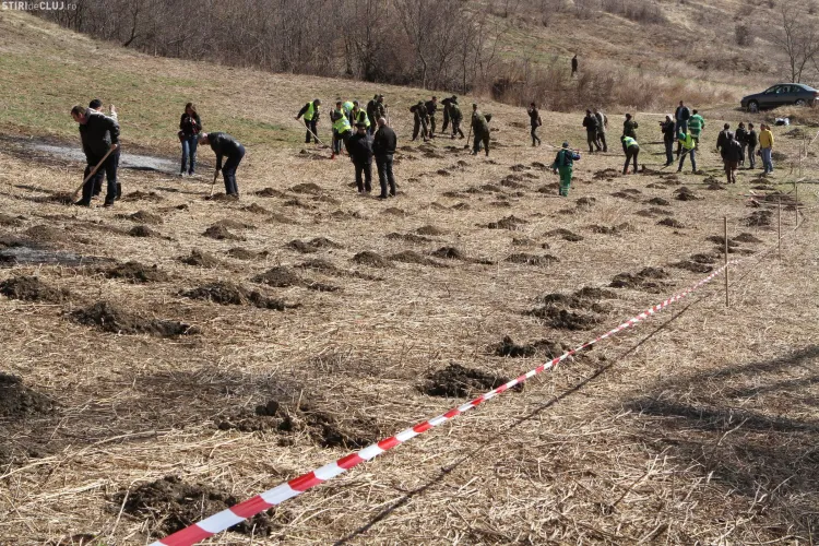 Sportivii clujeni planteaza maine copaci in Padurea Tineretului