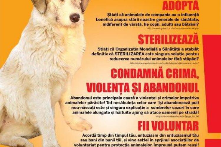Ziua internationala a Animalelor fara stapan, la Iulius Mall Cluj