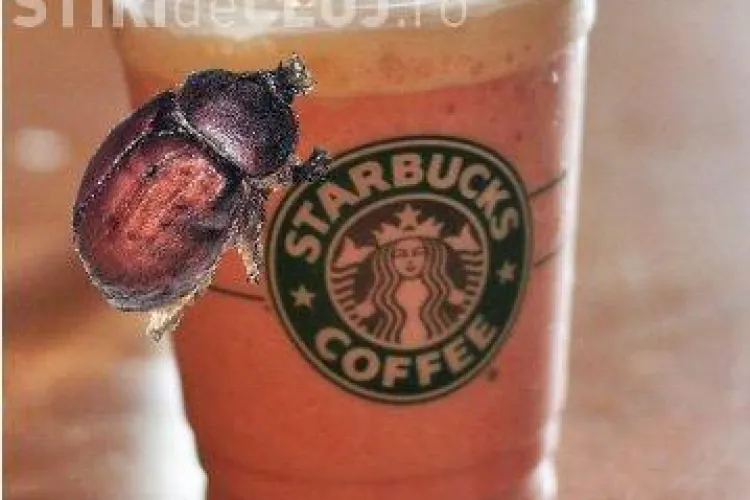 Ingredientele secrete ale berii care nu apar pe etichete 