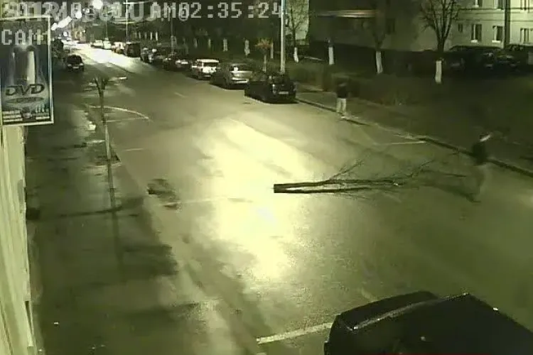 Dej: Au pus un arbore pe strada, de amuzament, si puteau provoca un accident IMAGINI CAMERA DE SUPRAVEGHERE