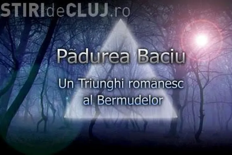 Padurea Baciu, "Un Triunghi romanesc al Bermudelor"! Vezi un film despre misterele de la marginea Clujului VIDEO