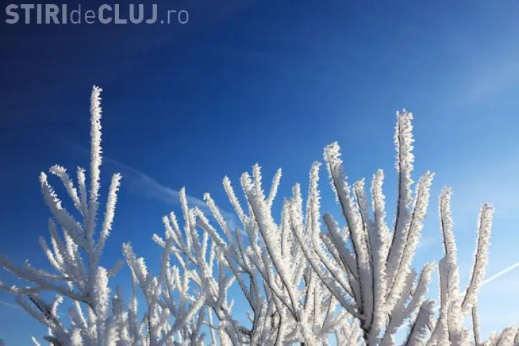 Cluj: Avertizare de bruma in diminetile de marti si miercuri