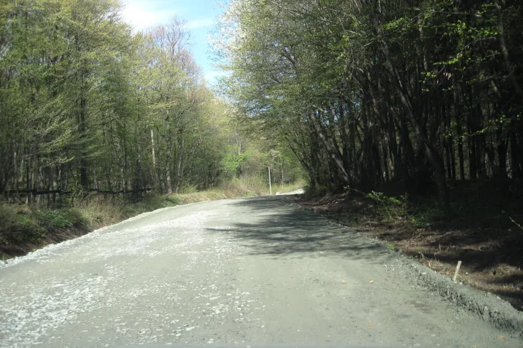 Consiliul Judetean Cluj ii demonstreaza deputatului Horea Uioreanu ca pe drumul Gheorgheni - Borhanci se lucreaza FOTO