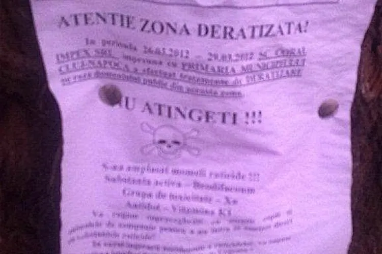 Ratuste otravite in paraul din cartierul Plopilor STIREA CITITORULUI