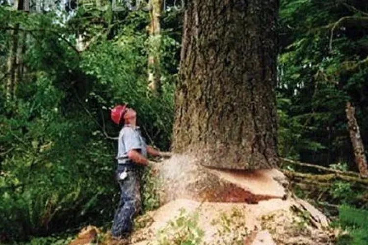 Muncitorii romani doriti in Austria! Salariile sunt de 1.300 euro