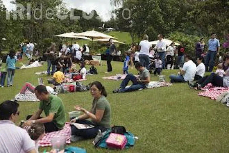 Masuri de prevenire a incendiilor recomandate clujenilor care-si petrec ziua de 1 mai la picnic