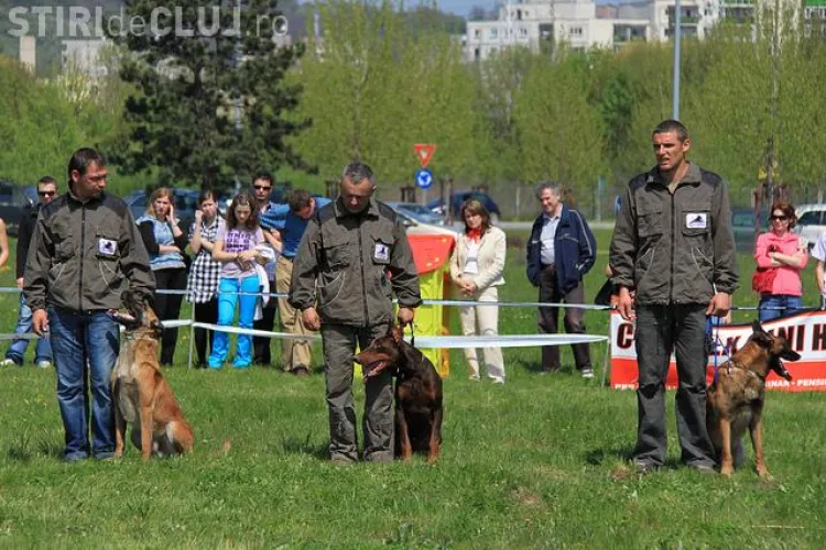 "Hiperparada Animalelor" incepe maine la Cluj-Napoca!