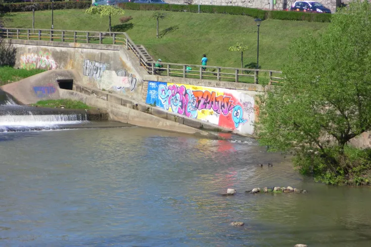 Clujul este impanzit de grafitii! Ce poate stopa acest fenomen? FOTO