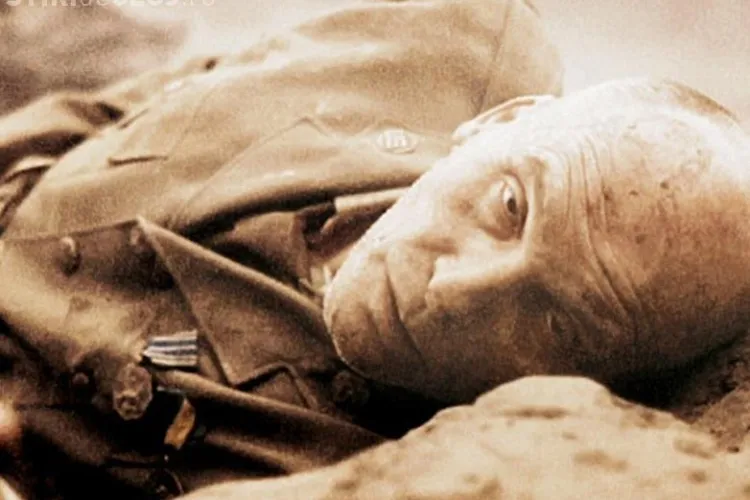 Proiectii horror si SF in sectiunea Umbre de la TIFF 2012