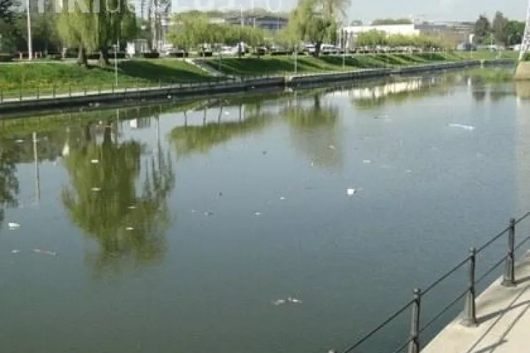 Mizerie de nedescris pe apele Somesului, dupa vacanta de 1 Mai