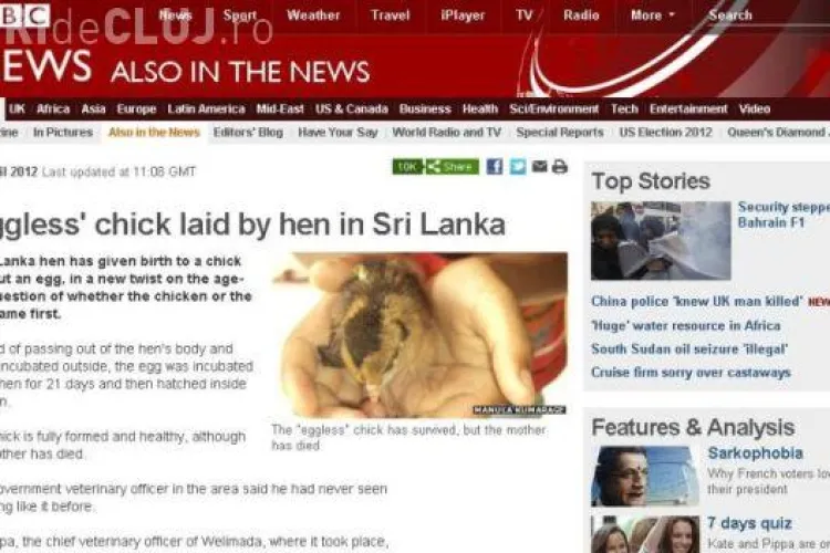 O gaina a nascut un pui viu FOTO