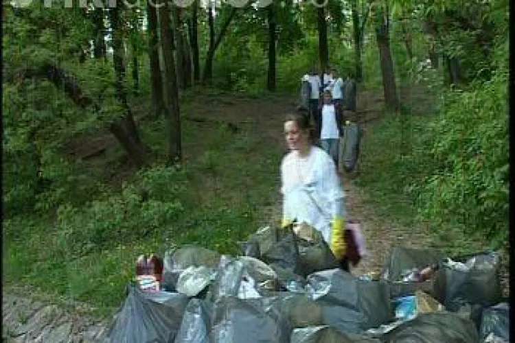 Ecologizare in parcul Belvedere si zona Cetatuia 