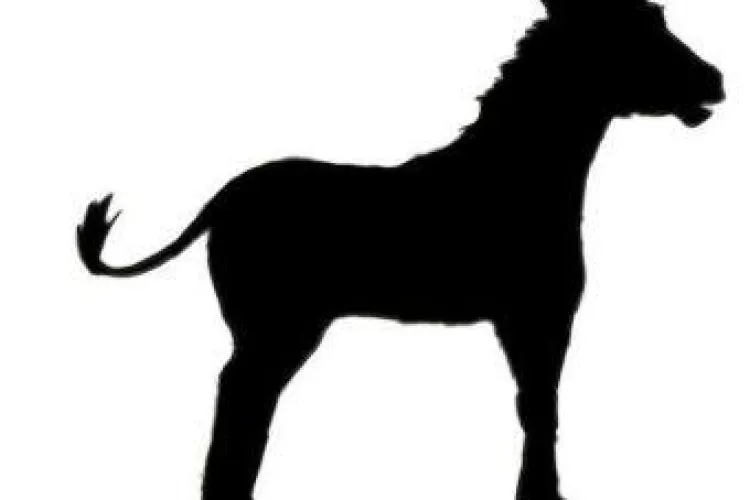 "Magar" cel mai nou candidat la Primaria Cluj-Napoca