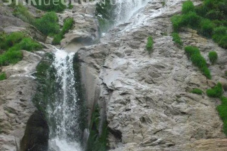 Marturii socante in cazul celor doi angajati ai Tribunalului Cluj gasiti morti pe raul Vaser VIDEO