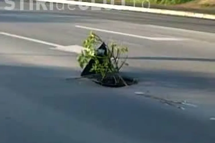 Clujul - oras de cinci stele, cu gropi semnalizate cu crengi VIDEO