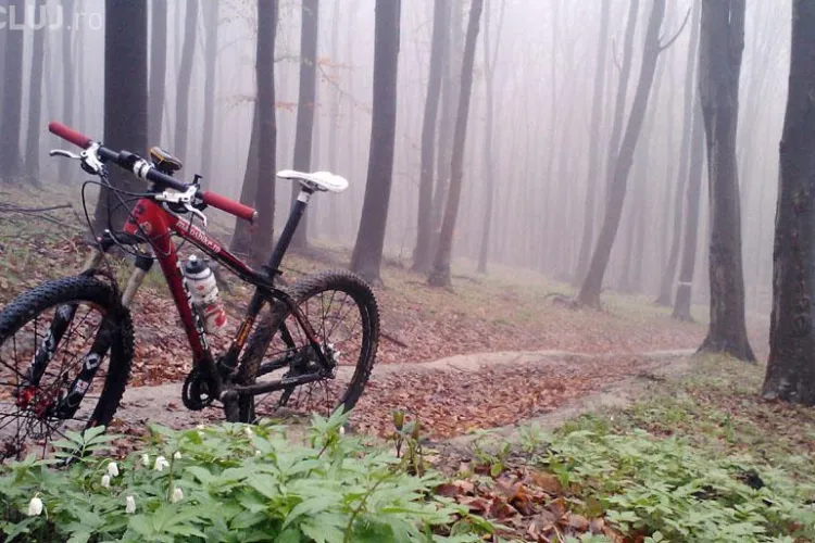 Incepe Maratonul Fagetului! Vezi traseul! 