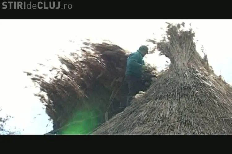 Casele din Muzeul Etnografic Cluj, refacute pe rand! Gospodaria din Taga refacuta cu stuf si materiale traditionale VIDEO