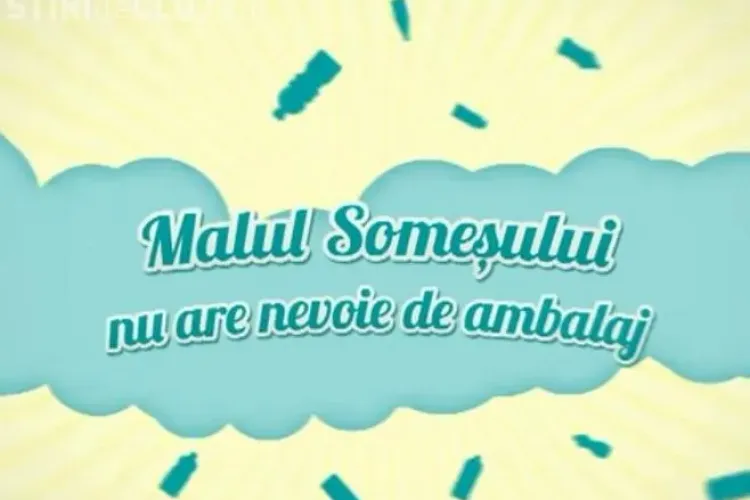 Campanie de ecologizare a albiei raului Somes in Cluj-Napoca