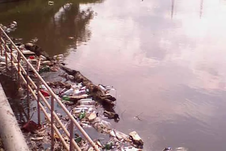 Gunoaie cat CASA pe Somes, in Grigorescu, la intrare in orasul de 5 stele FOTO RUSINOASE