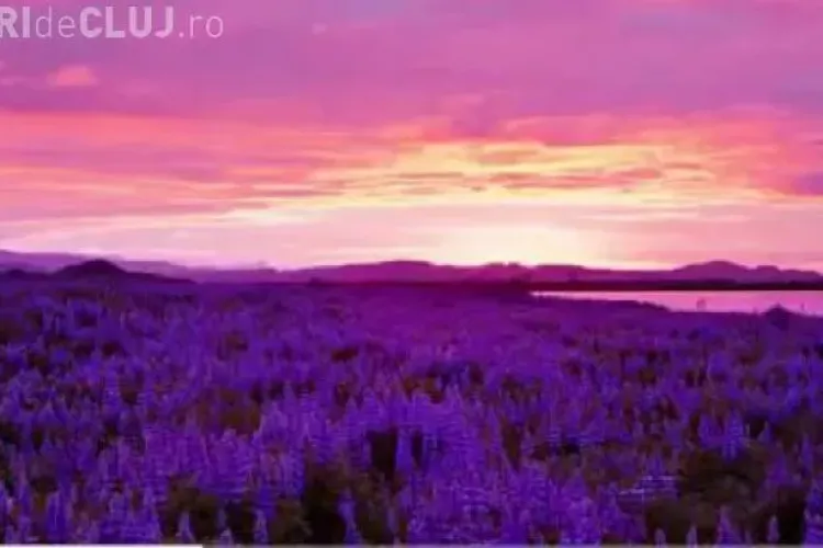 Spectaculos: Locul in care soarele nu apune niciodata VIDEO