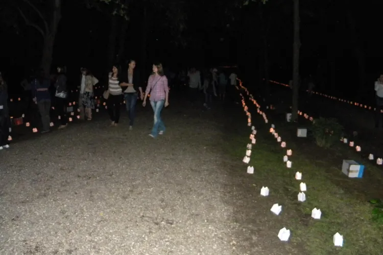 Festivalul Luminii, Cluj, 19 mai! Parcul Detunata va fi invadat de lumina. Vezi harta parcului