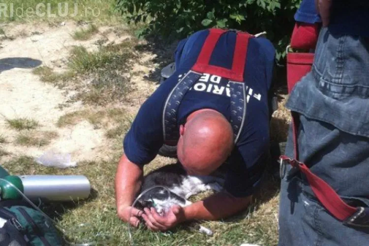 Imaginile care i-au emotionat pana la lacrimi pe americani