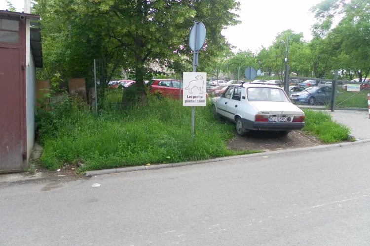 BATAIE DE JOC! Clujenii de pe Alverna isi "plimba" cainii pe 3 metri patrati FOTO