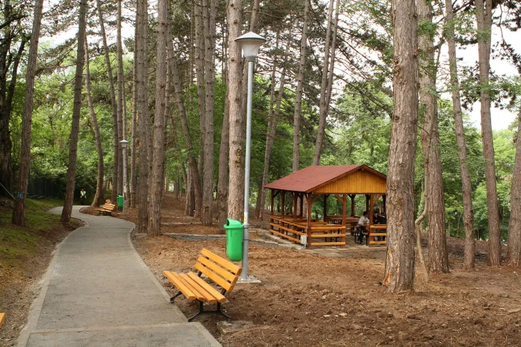 Cum arata padurea-parc de 3,1 hectare inaugurata de Primarie si USAMV pe strada Gheorghe Dima FOTO