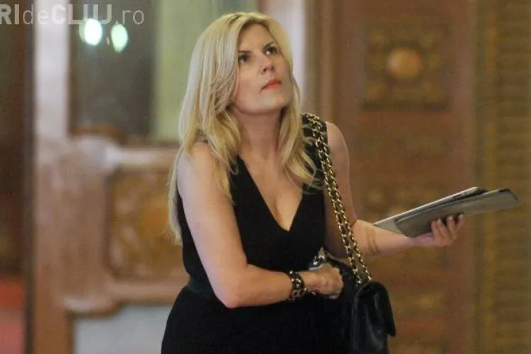 Udrea: Multi colegi mi-au cerut sa le angajez amantele