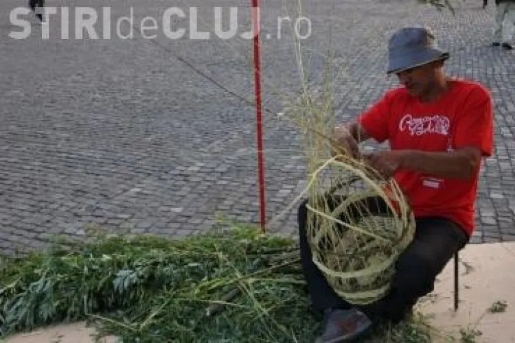 TIFF CLUJ: Ziua Diversitatii - muzica tiganeasca la Muzeul de Arta si in Piata Unirii