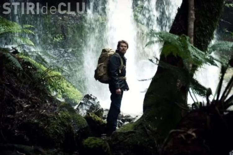 TIFF CLUJ 2012: Se reiau proiectiile la Manastur Open Air