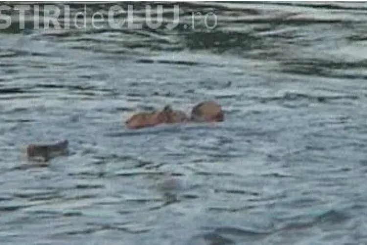 Pompierii din Dej au sarit in Somes sa scoata un "Nou-nascut"! VEZI ce surpriza au avut VIDEO