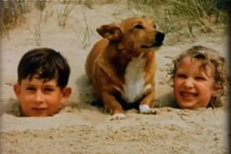 Vezi FOTOGRAFIA nemaivazuta cu printul Charles intr-o ipostaza total inedita 