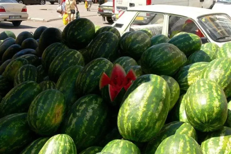 USL Cluj: Primăria trebuie să ofere transparență în comercializarea pepenilor la Cluj